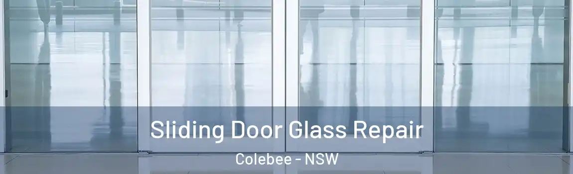  Sliding Door Glass Repair Colebee - NSW