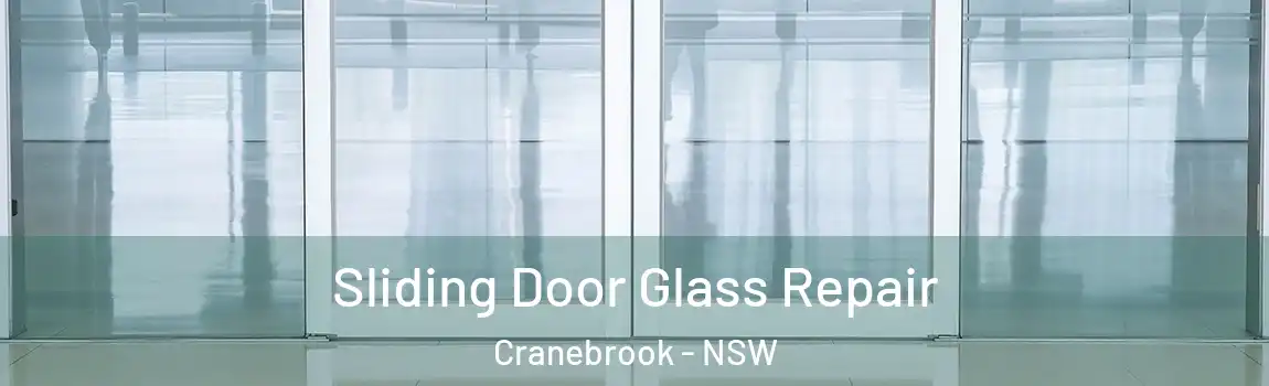  Sliding Door Glass Repair Cranebrook - NSW