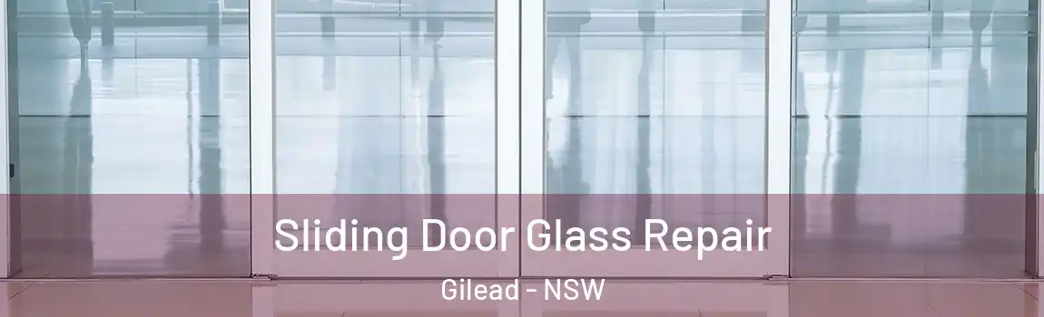  Sliding Door Glass Repair Gilead - NSW