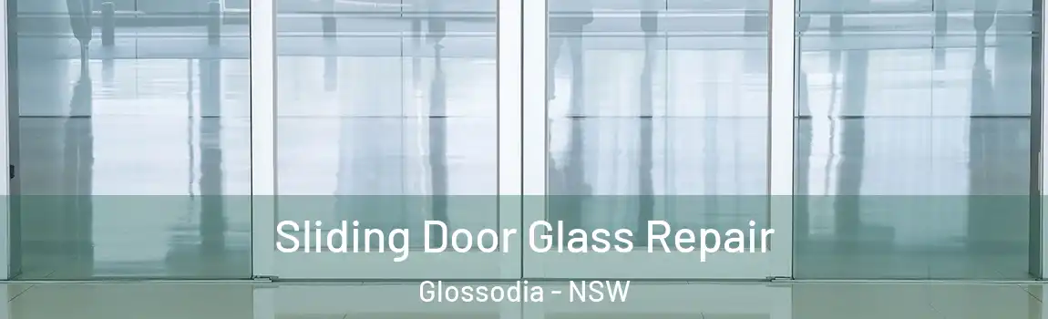  Sliding Door Glass Repair Glossodia - NSW