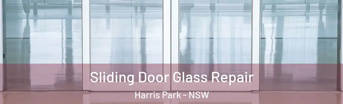  Sliding Door Glass Repair Harris Park - NSW