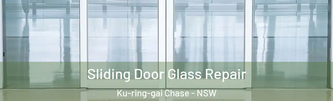  Sliding Door Glass Repair Ku-ring-gai Chase - NSW