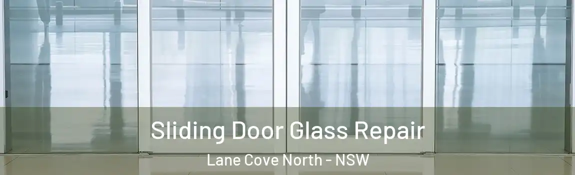  Sliding Door Glass Repair Lane Cove North - NSW