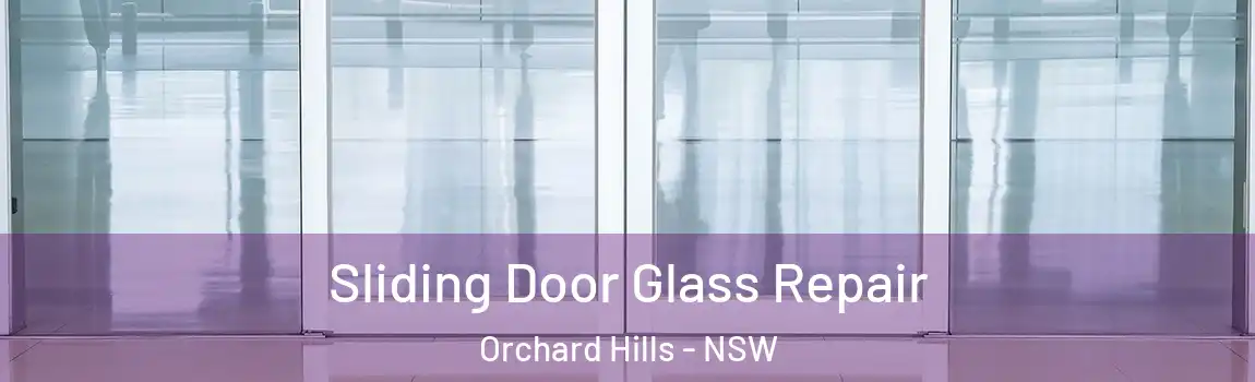  Sliding Door Glass Repair Orchard Hills - NSW