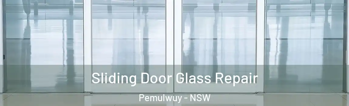  Sliding Door Glass Repair Pemulwuy - NSW