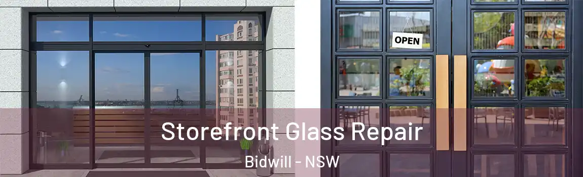  Storefront Glass Repair Bidwill - NSW