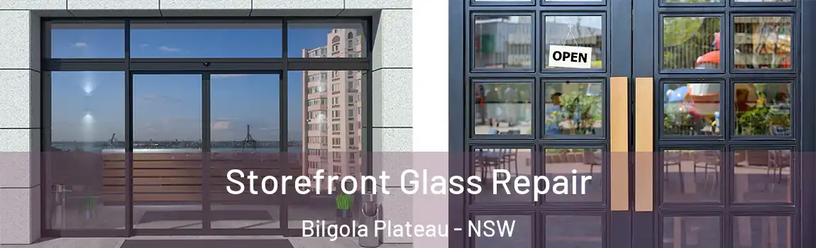  Storefront Glass Repair Bilgola Plateau - NSW
