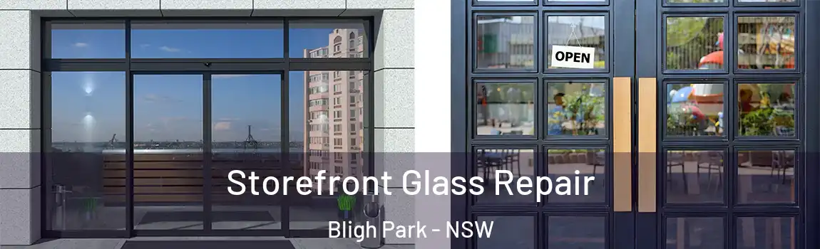  Storefront Glass Repair Bligh Park - NSW