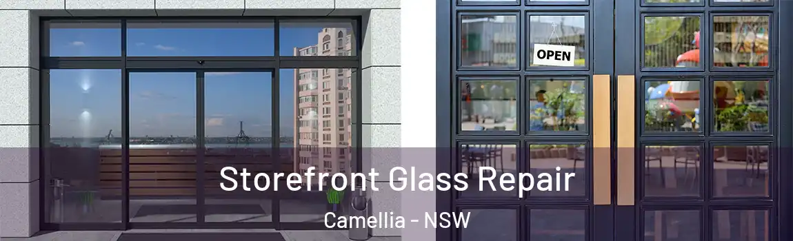  Storefront Glass Repair Camellia - NSW