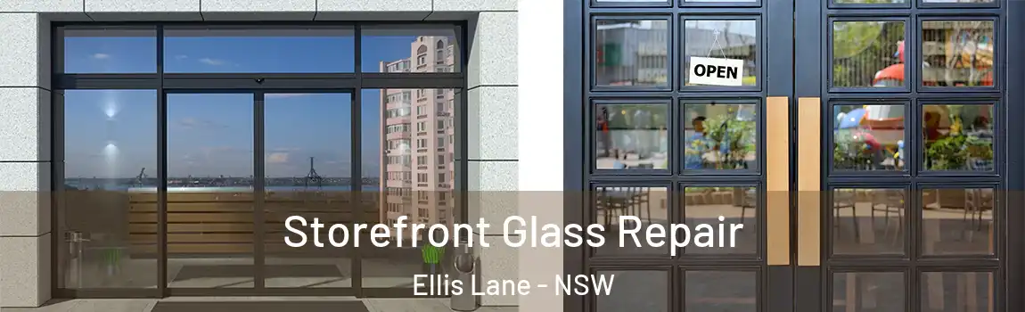  Storefront Glass Repair Ellis Lane - NSW