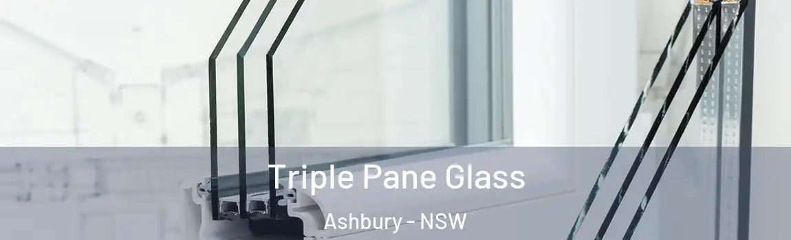  Triple Pane Glass Ashbury - NSW