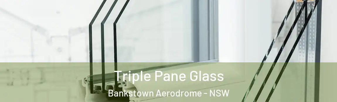  Triple Pane Glass Bankstown Aerodrome - NSW