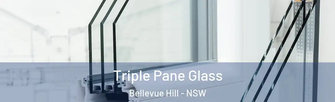  Triple Pane Glass Bellevue Hill - NSW