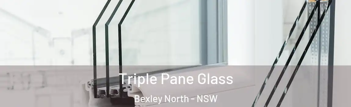  Triple Pane Glass Bexley North - NSW
