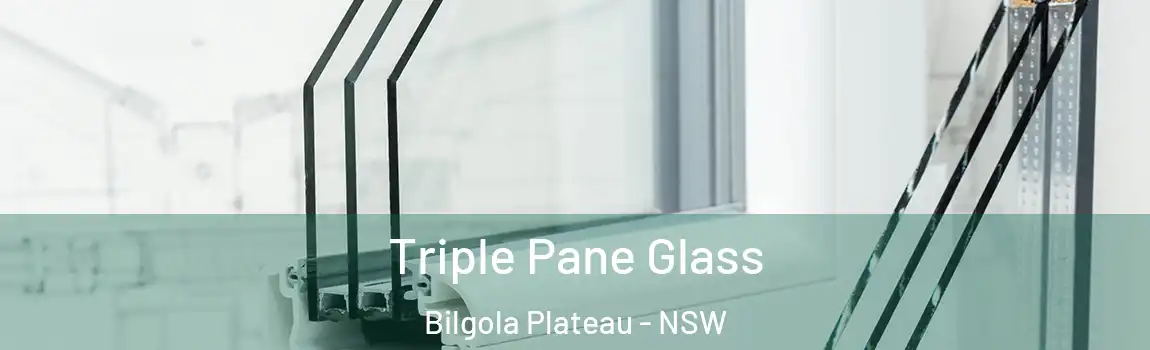  Triple Pane Glass Bilgola Plateau - NSW