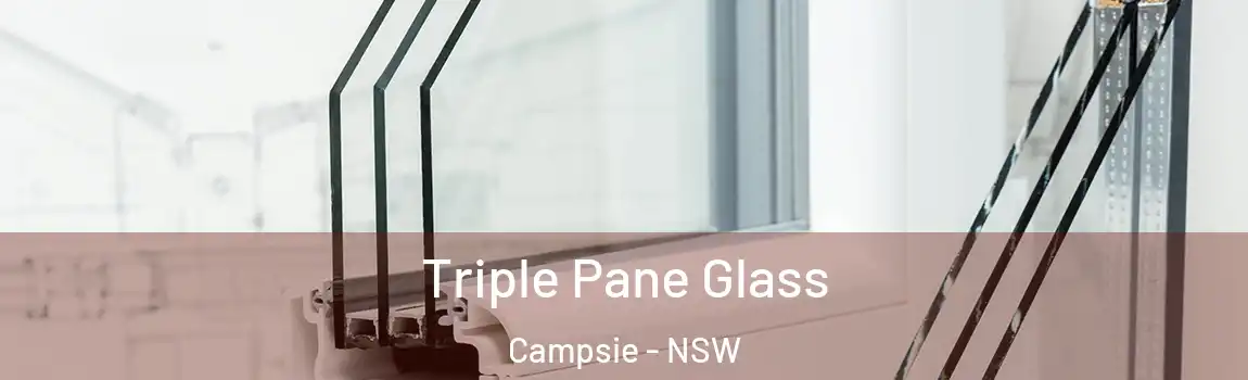  Triple Pane Glass Campsie - NSW