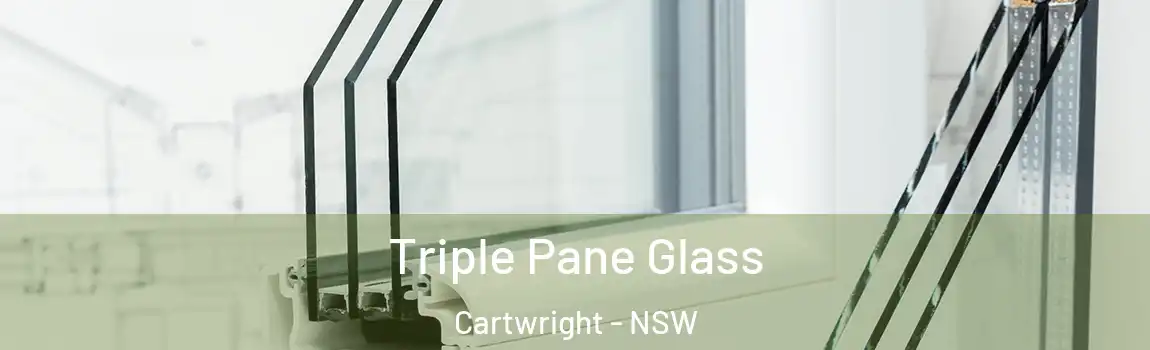  Triple Pane Glass Cartwright - NSW