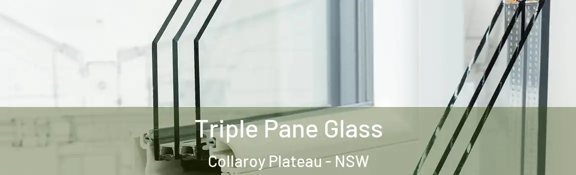  Triple Pane Glass Collaroy Plateau - NSW