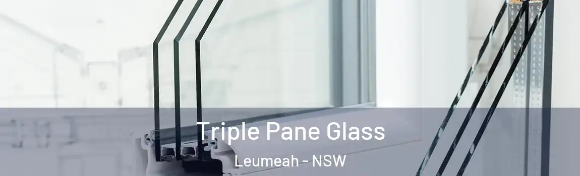  Triple Pane Glass Leumeah - NSW