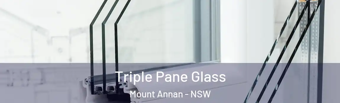  Triple Pane Glass Mount Annan - NSW