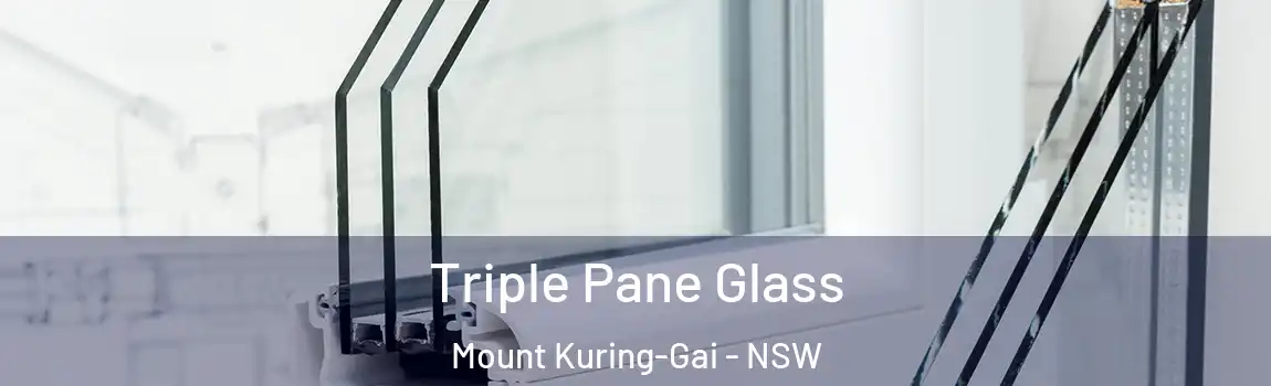  Triple Pane Glass Mount Kuring-Gai - NSW
