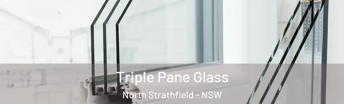  Triple Pane Glass North Strathfield - NSW