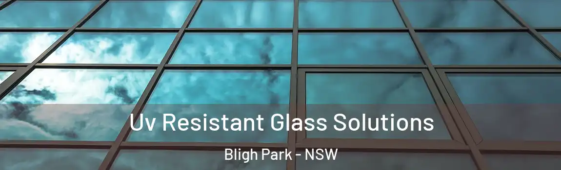  Uv Resistant Glass Solutions Bligh Park - NSW