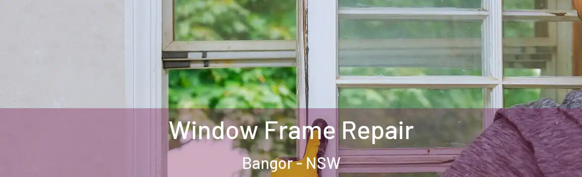  Window Frame Repair Bangor - NSW