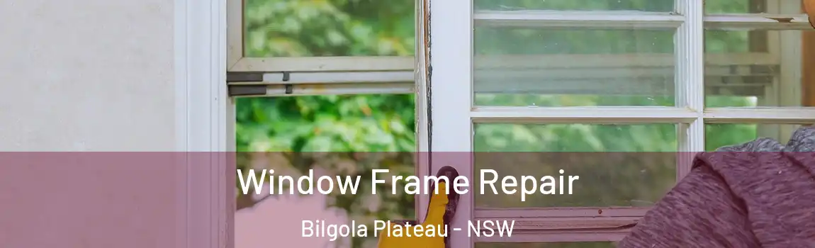  Window Frame Repair Bilgola Plateau - NSW