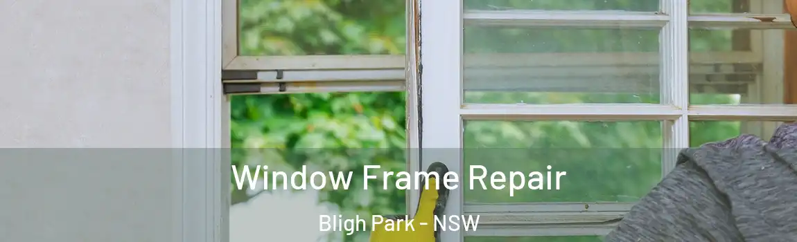  Window Frame Repair Bligh Park - NSW