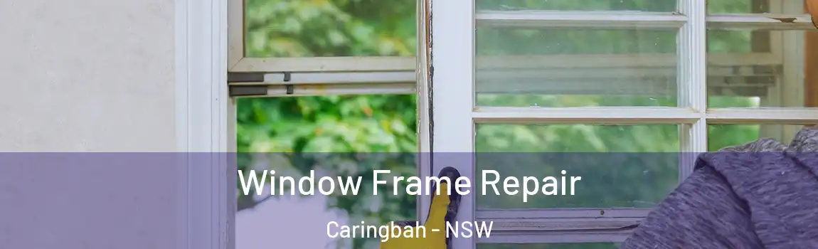  Window Frame Repair Caringbah - NSW