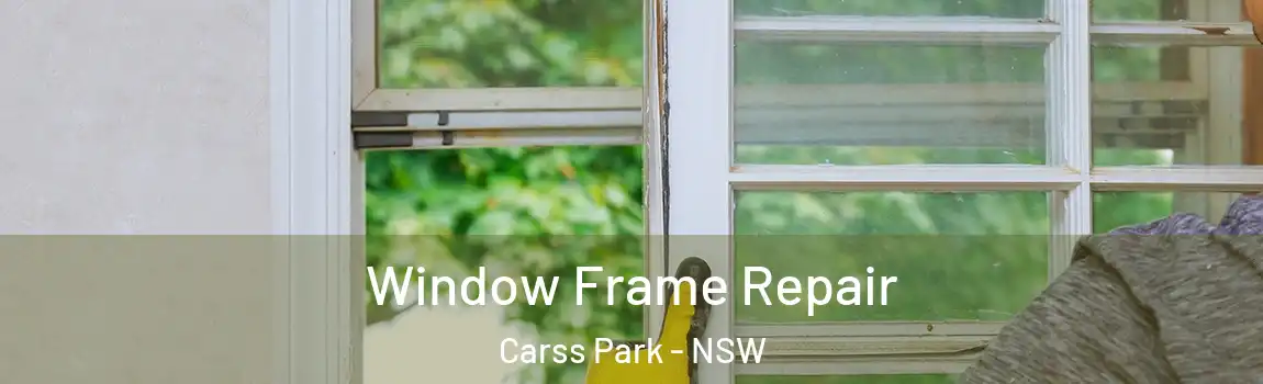  Window Frame Repair Carss Park - NSW