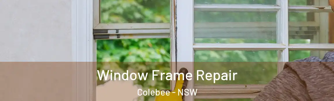  Window Frame Repair Colebee - NSW