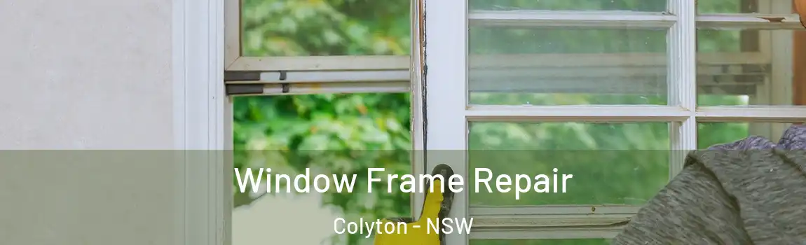  Window Frame Repair Colyton - NSW