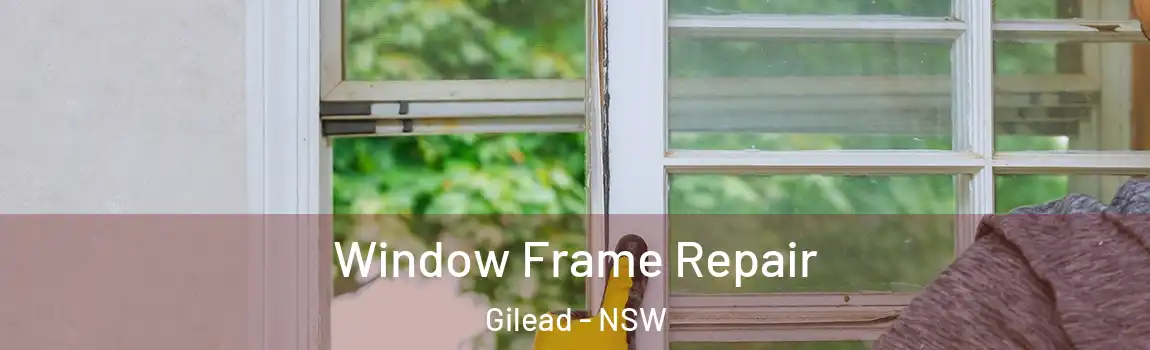  Window Frame Repair Gilead - NSW