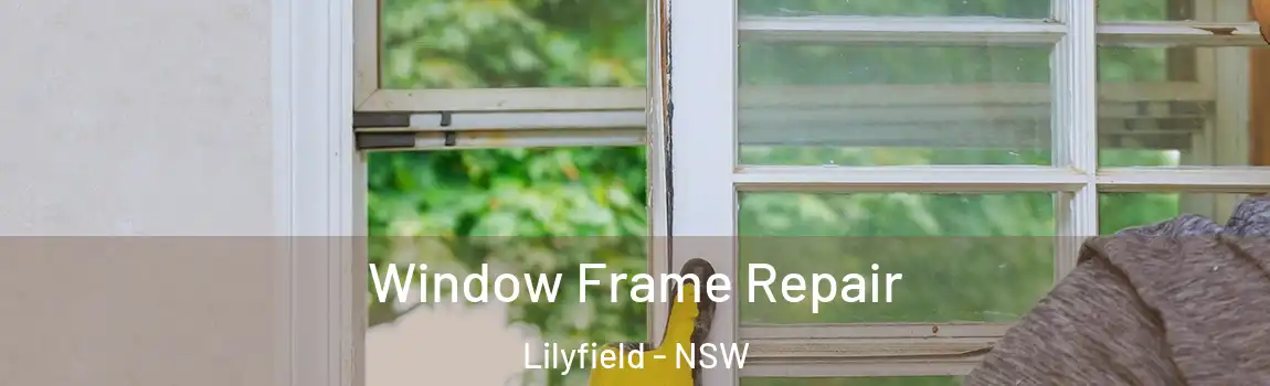  Window Frame Repair Lilyfield - NSW