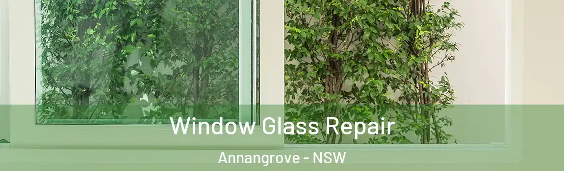  Window Glass Repair Annangrove - NSW