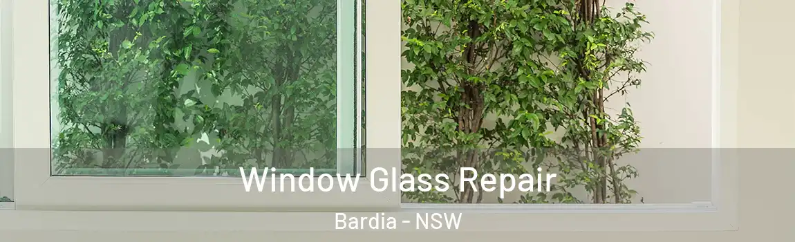  Window Glass Repair Bardia - NSW