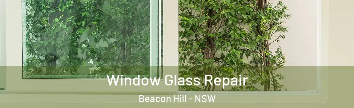  Window Glass Repair Beacon Hill - NSW