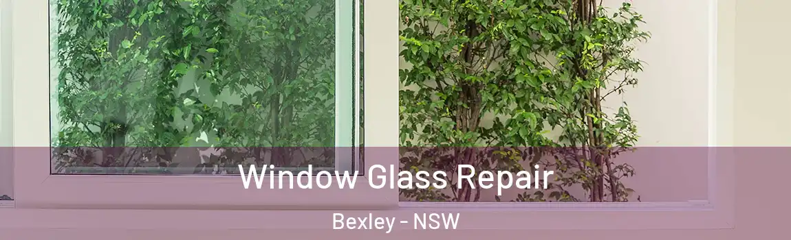  Window Glass Repair Bexley - NSW