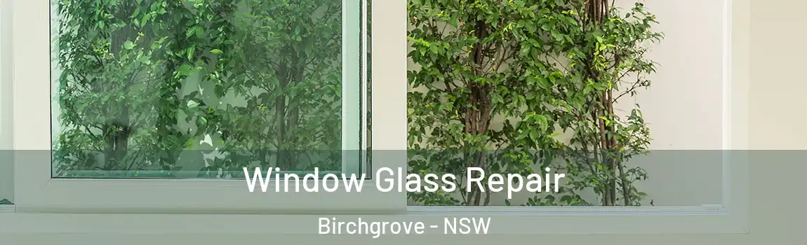  Window Glass Repair Birchgrove - NSW