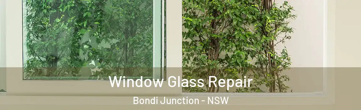  Window Glass Repair Bondi Junction - NSW