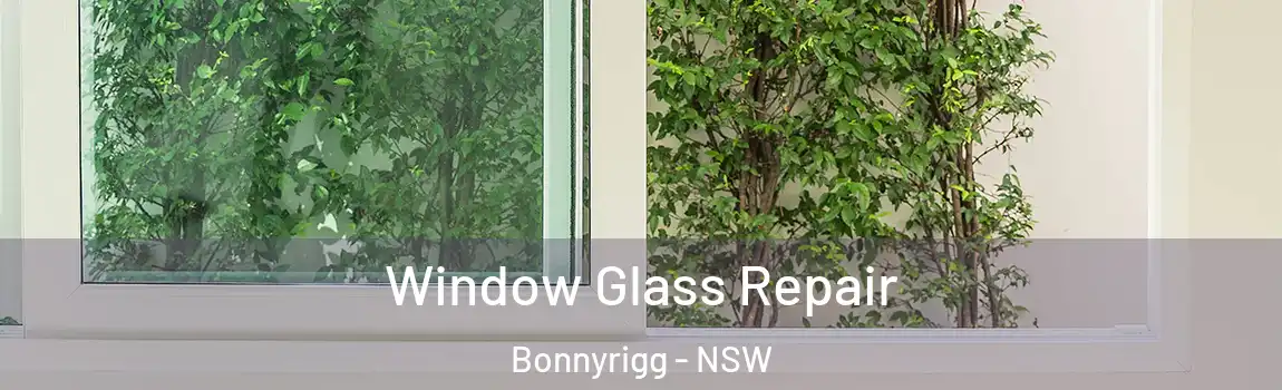  Window Glass Repair Bonnyrigg - NSW