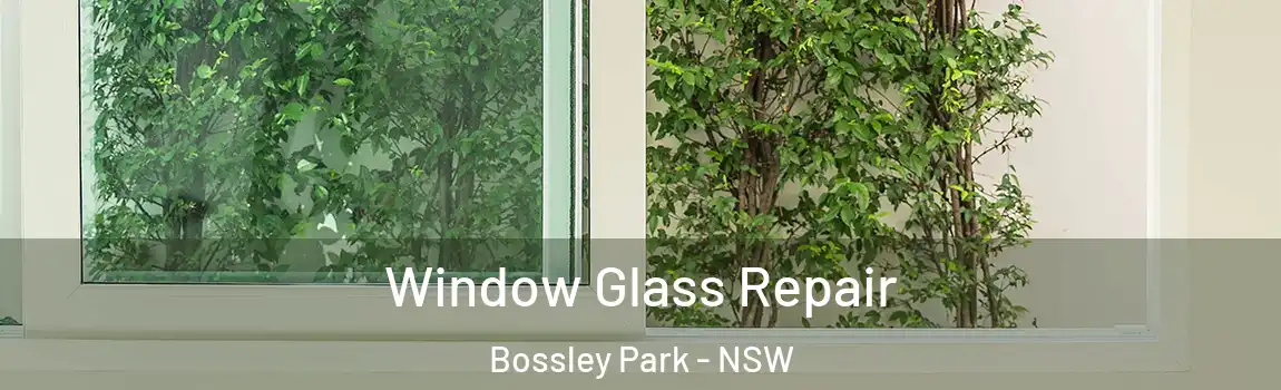 Window Glass Repair Bossley Park - NSW