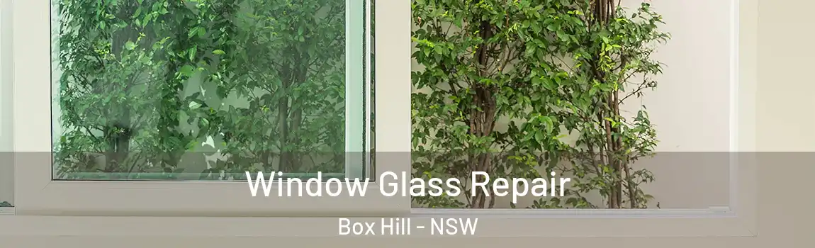  Window Glass Repair Box Hill - NSW