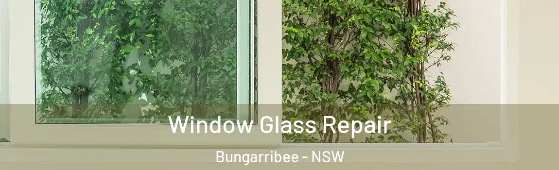  Window Glass Repair Bungarribee - NSW
