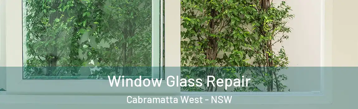  Window Glass Repair Cabramatta West - NSW