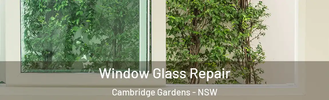  Window Glass Repair Cambridge Gardens - NSW