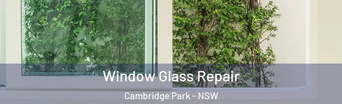  Window Glass Repair Cambridge Park - NSW