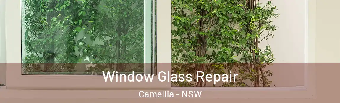  Window Glass Repair Camellia - NSW